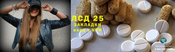 эйфоретик Корсаков