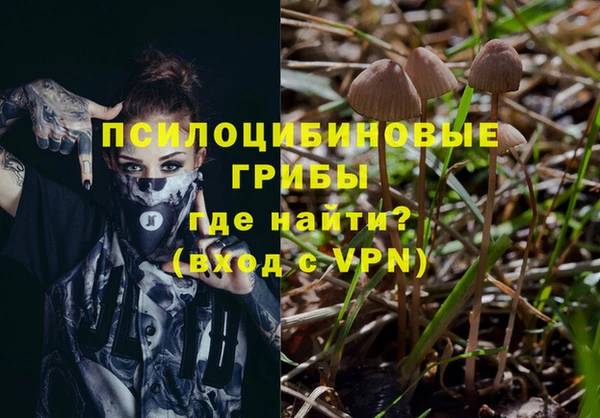 эйфоретик Корсаков