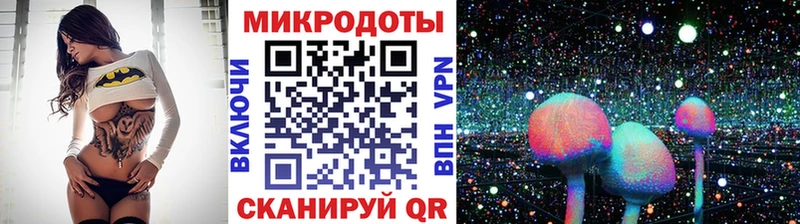 гидра ссылки  Рязань  Псилоцибиновые грибы Psilocybine cubensis 